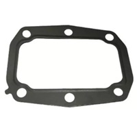 JUNTA SAIDA CANO MOTOR ESCAPE
